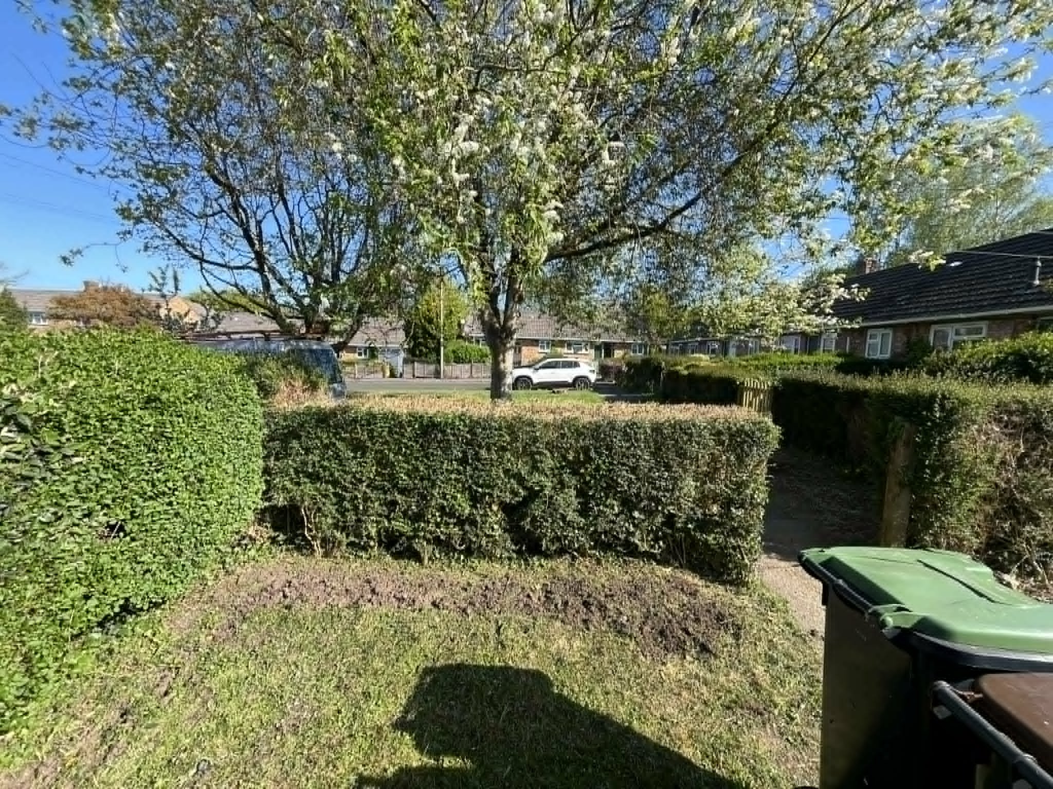 Front garden hedge trimmed neat
