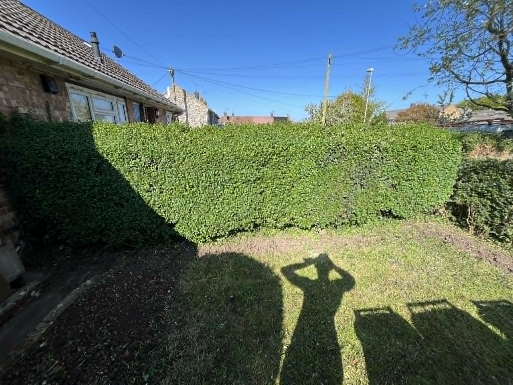 Hedge cut back flat and straight