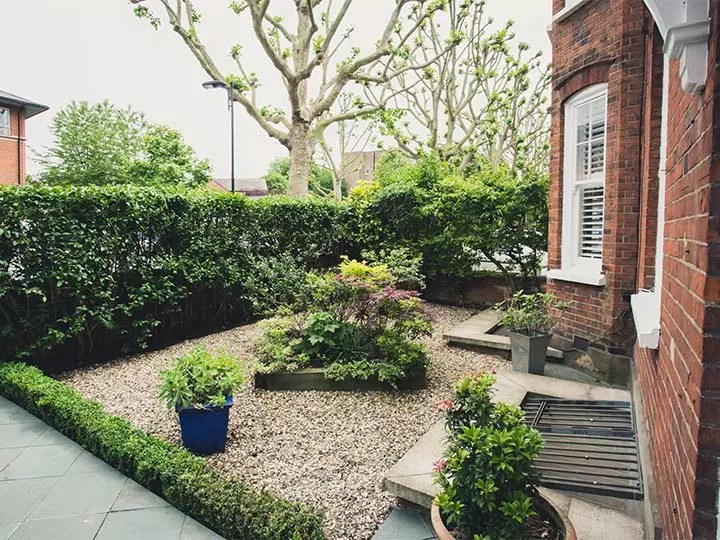 Garden maintenance and upkeep